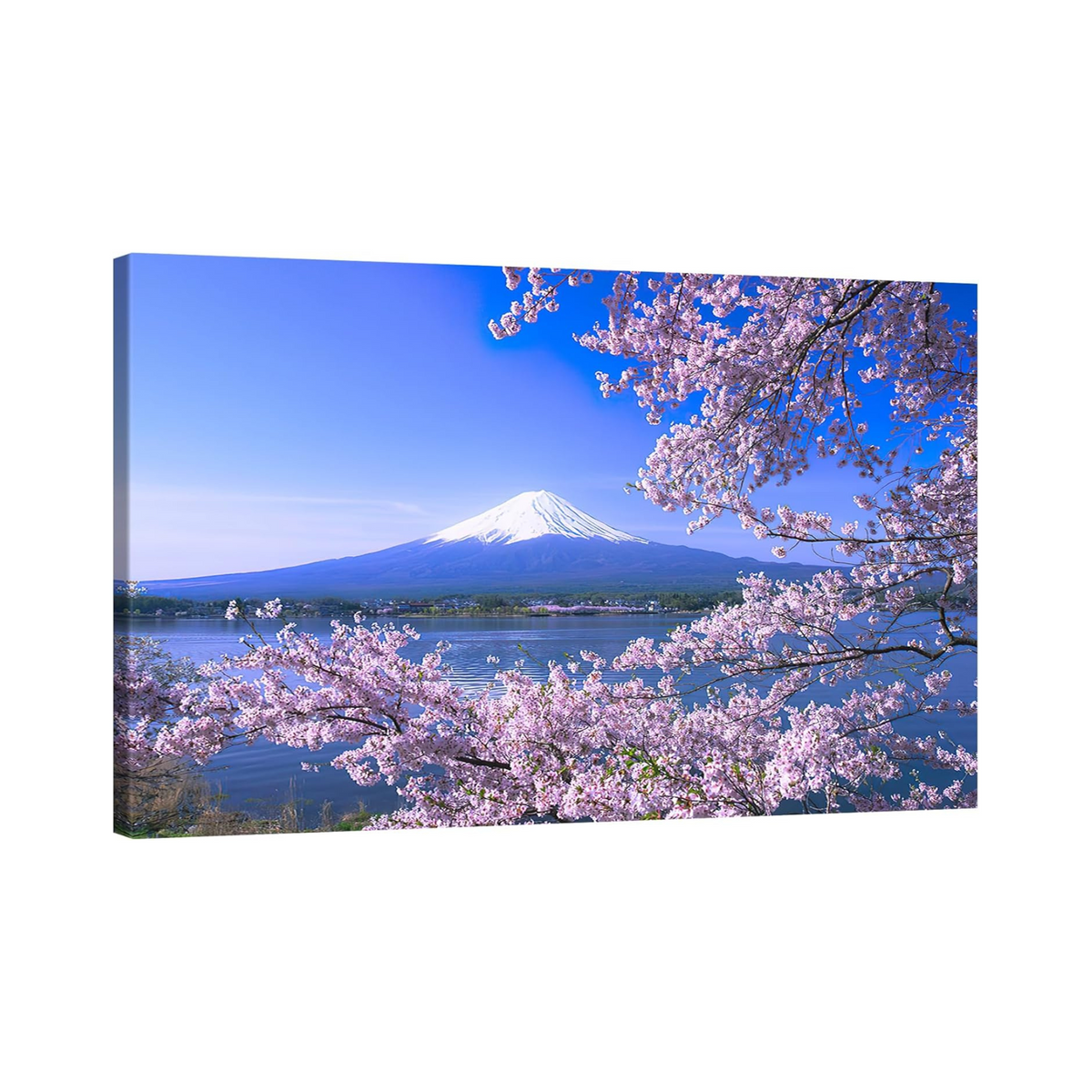 DaMYiHos Art Panel Mount Fuji Sakura 40×60cm